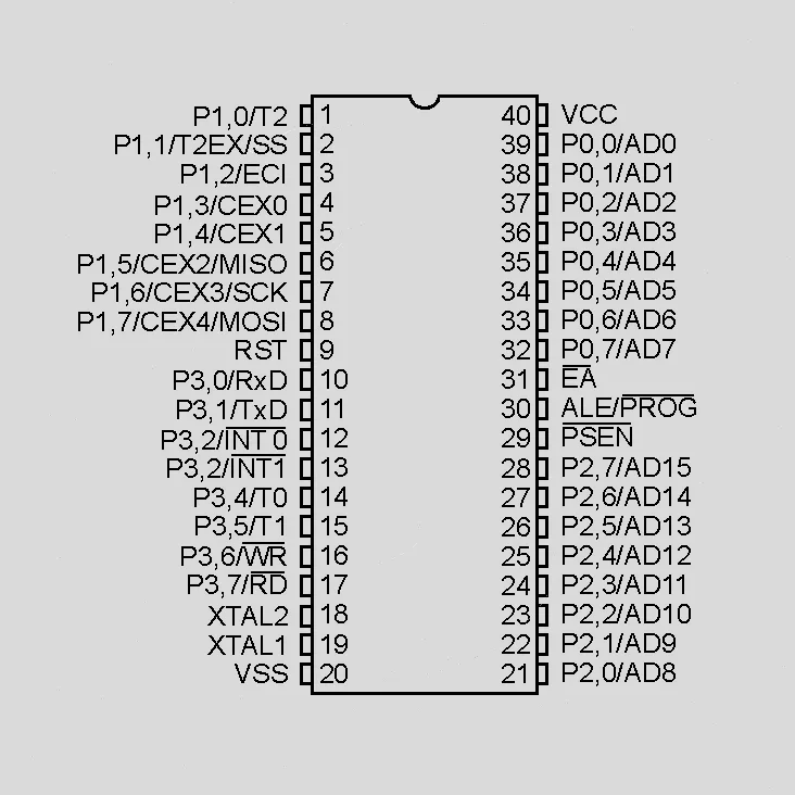 2556
