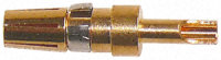 [135770] 10A DIN41612 STRAIGHT SOCKET