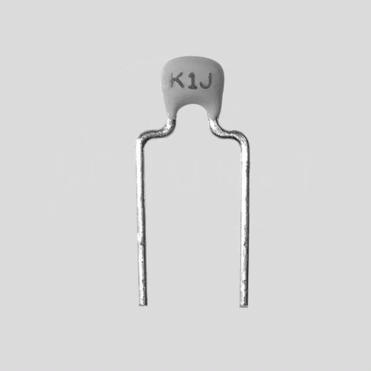 [85255] MLC Capacitor 220pF 100V NP0 P5,08