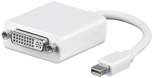 [111991] MINI DISPLAYPORT - DVI ADAPTER