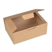 [123941] Postæske LBH: 150x100x70 mm, 50 stk.